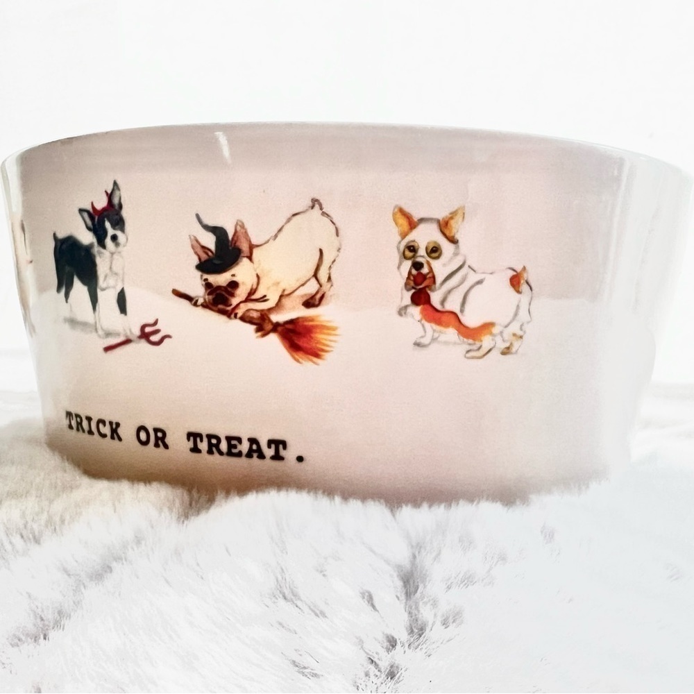 Dog Lover’s Halloween Collection - Water bowl, treat jar, and leash tray - Picture 5 of 16